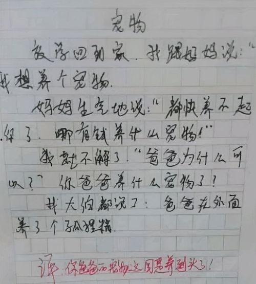 吃瓜作文500字
